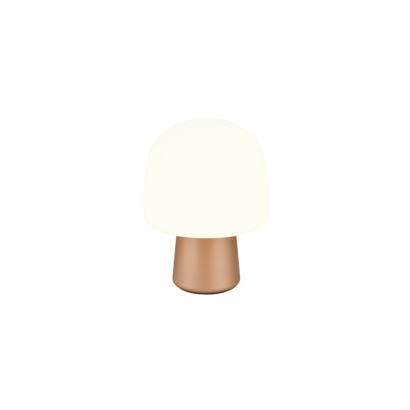 STEEN 568200165