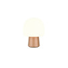 STEEN 568200165 STEEN 568200165