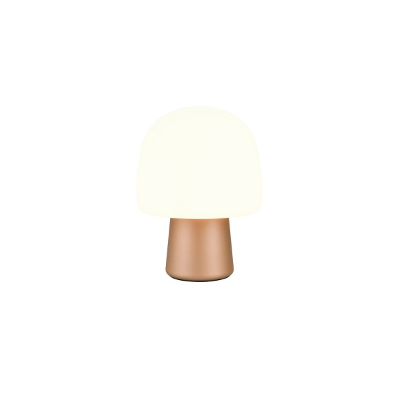 lampa stołowa STEEN 568200165 Trio | Sklep z lampami lampa stołowa STEEN 568200165 Trio | Sklep z lampami