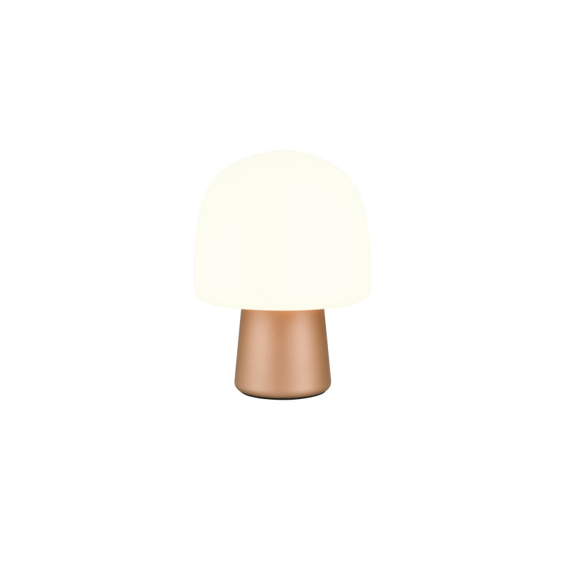 STEEN 568200165