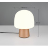 STEEN 568200165 STEEN 568200165