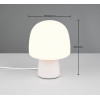 STEEN 568200176 STEEN 568200176