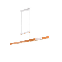 lampa wisząca TRAJAN 375390531 Trio | Sklep z lampami