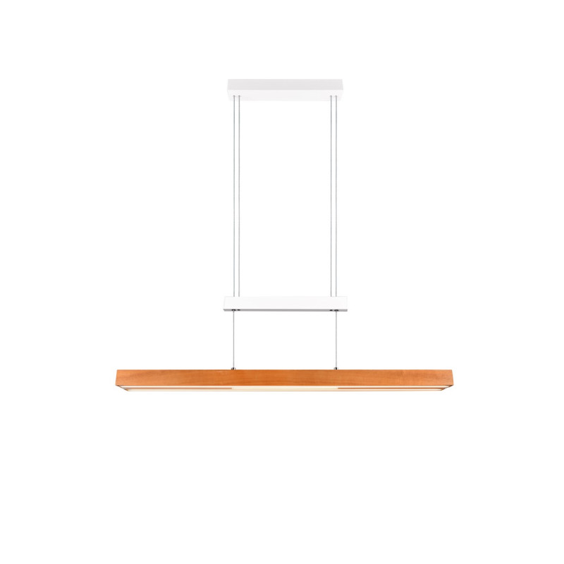 lampa wisząca TRAJAN 375390531 Trio | Sklep z lampami lampa wisząca TRAJAN 375390531 Trio | Sklep z lampami