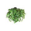 LEAVY R60463015