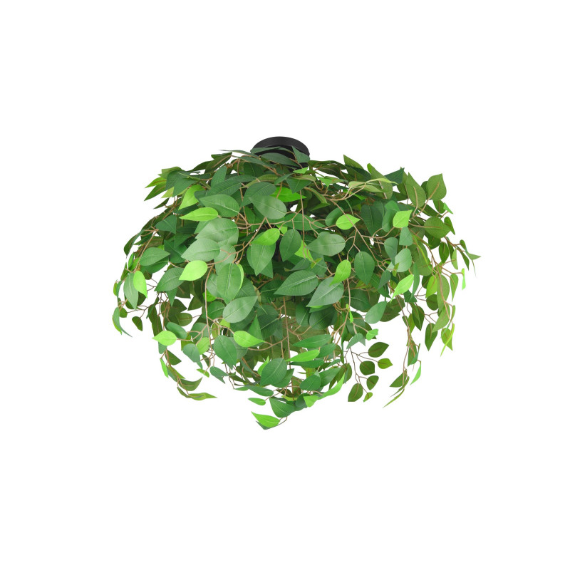 LEAVY R60463015