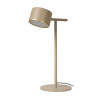 GIAN 44517/08/41