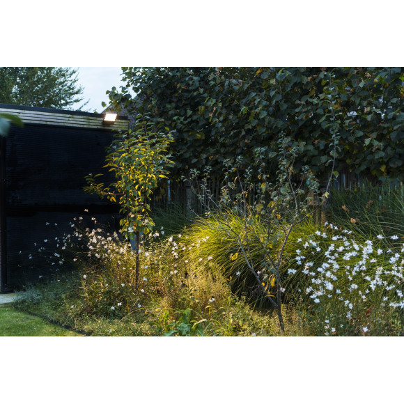 kinkiet ATLANTIS 7801606118 nan | Sklep z lampami