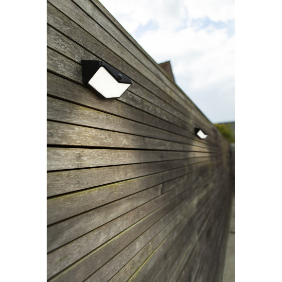 kinkiet WINGS SOLAR  6915101330 nan | Sklep z lampami kinkiet WINGS SOLAR  6915101330 nan | Sklep z lampami