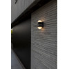 LOOMA 5138003118