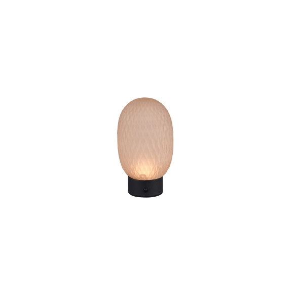 FACETTE 564210113 FACETTE 564210113