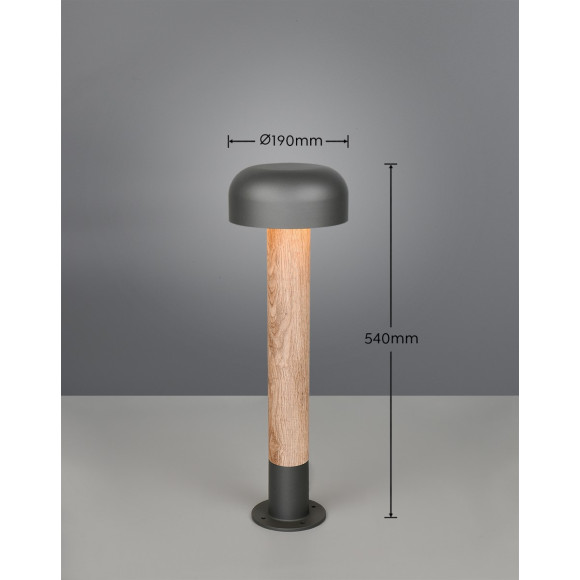 lampa FRASER 562560135 Trio | Sklep z lampami lampa FRASER 562560135 Trio | Sklep z lampami