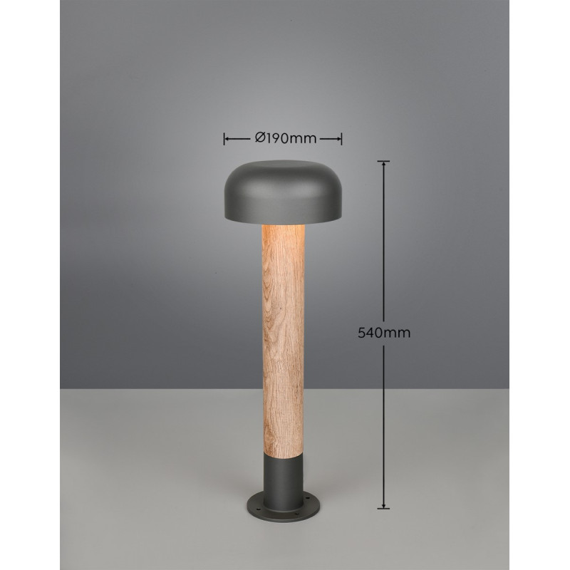 lampa FRASER 562560135 Trio | Sklep z lampami lampa FRASER 562560135 Trio | Sklep z lampami