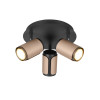 lampa sufitowa GILLAN 814530365 Trio | Sklep z lampami