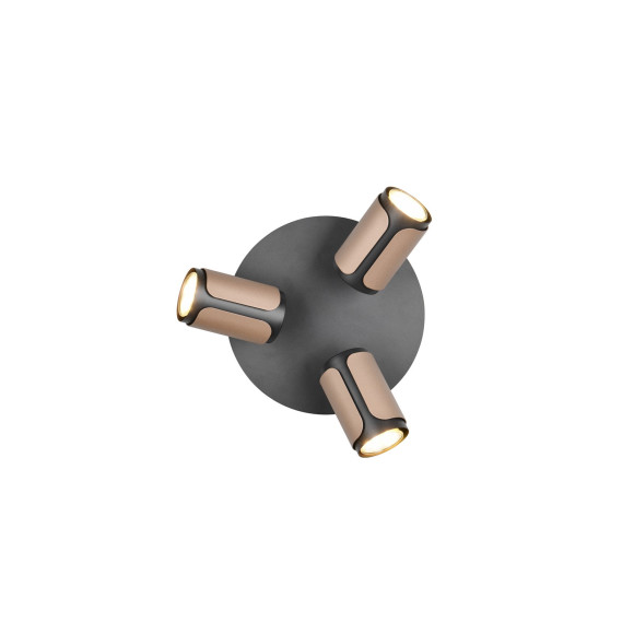 lampa sufitowa GILLAN 814530365 Trio | Sklep z lampami