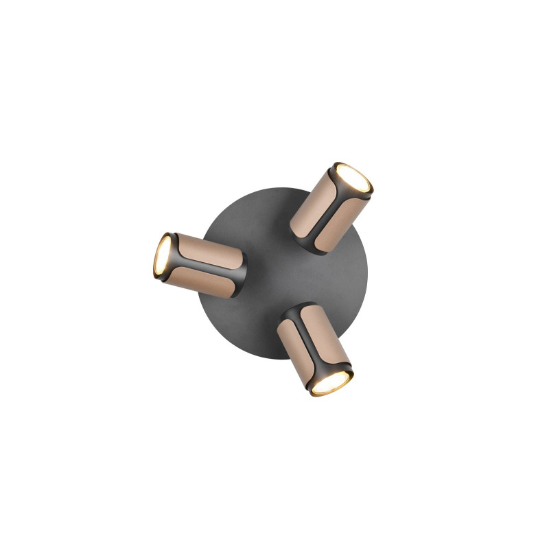 lampa sufitowa GILLAN 814530365 Trio | Sklep z lampami