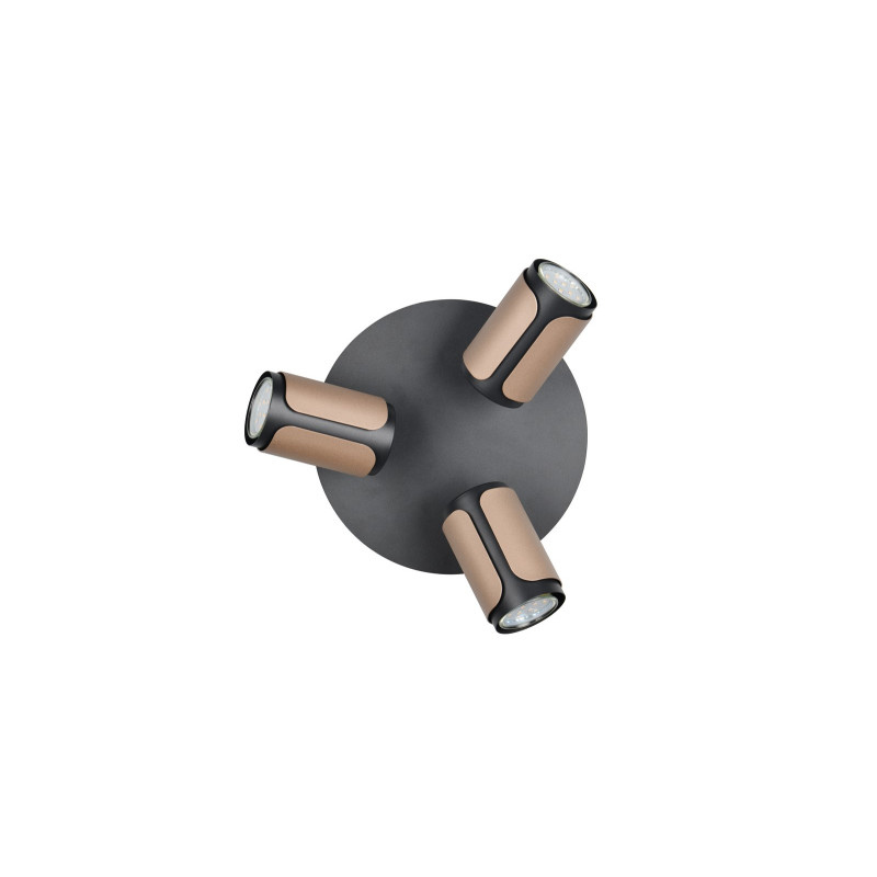 lampa sufitowa GILLAN 814530365 Trio | Sklep z lampami