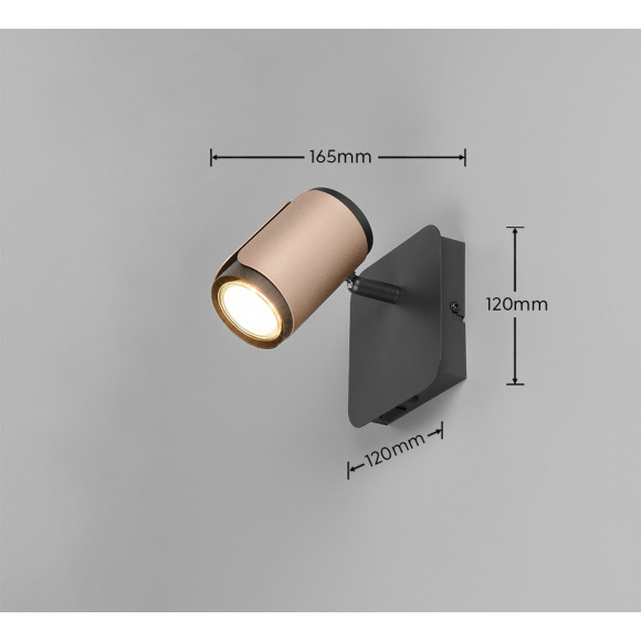 spot GILLAN 814570165 Trio | Sklep z lampami spot GILLAN 814570165 Trio | Sklep z lampami