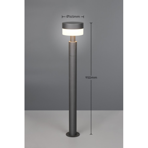 lampa MACKENZIE 430561142 Trio | Sklep z lampami lampa MACKENZIE 430561142 Trio | Sklep z lampami