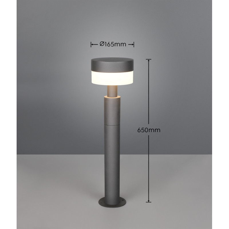 lampa MACKENZIE 530561142 Trio | Sklep z lampami lampa MACKENZIE 530561142 Trio | Sklep z lampami