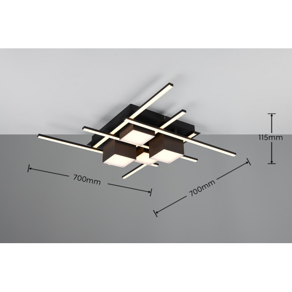 plafon ROGER 647810432 Trio | Sklep z lampami