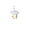 VENTA 363260131