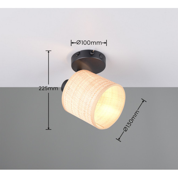 spot AIMEE R81851736 RL | Sklep z lampami spot AIMEE R81851736 RL | Sklep z lampami
