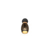 BIDAR R81571780
