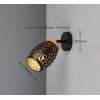 BIDAR R81571780