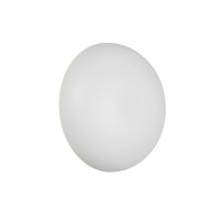 kinkiet DAVEY R24431131 RL | Sklep z lampami