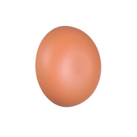 kinkiet DAVEY R24431140 RL | Sklep z lampami