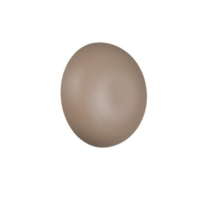 kinkiet DAVEY R24431143 RL | Sklep z lampami