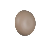 kinkiet DAVEY R24431143 RL | Sklep z lampami