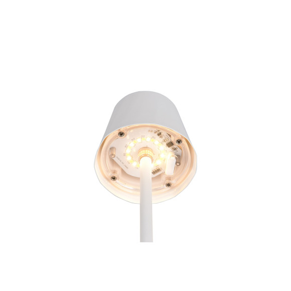 lampa stołowa DIAZ R55961131 RL | Sklep z lampami lampa stołowa DIAZ R55961131 RL | Sklep z lampami