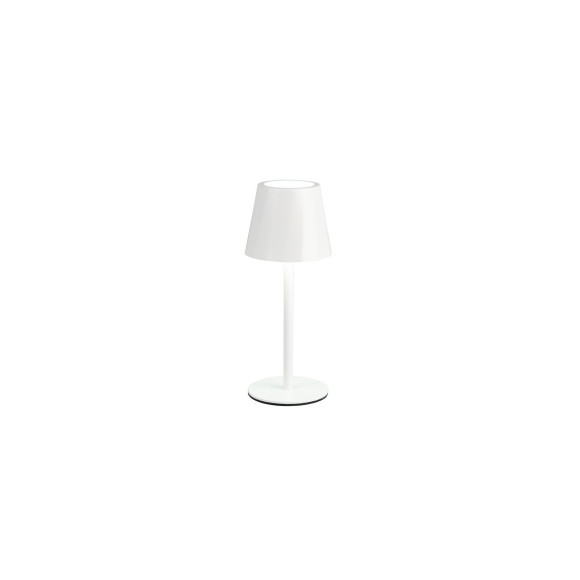 DIAZ R55961131