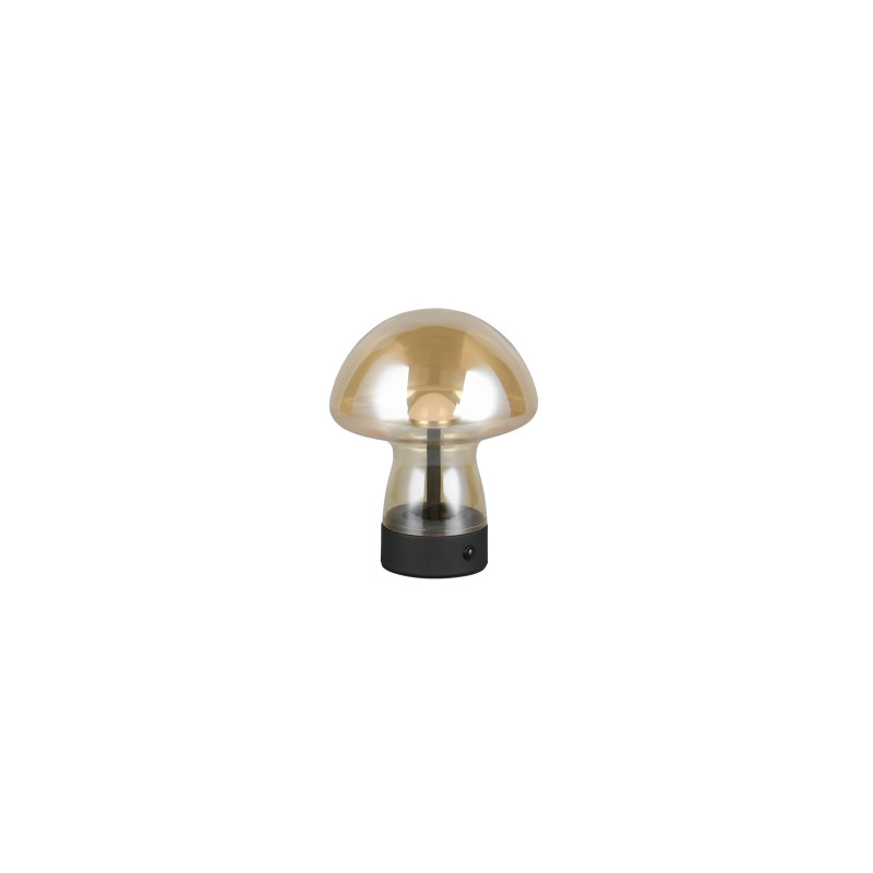lampa stołowa DOOLEY R54981113 RL | Sklep z lampami lampa stołowa DOOLEY R54981113 RL | Sklep z lampami