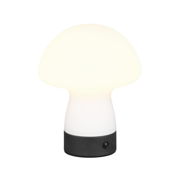 lampa stołowa DOOLEY R54981131 RL | Sklep z lampami lampa stołowa DOOLEY R54981131 RL | Sklep z lampami