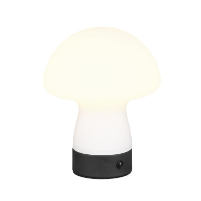 lampa stołowa DOOLEY R54981131 RL | Sklep z lampami