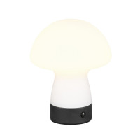 lampa stołowa DOOLEY R54981131 RL | Sklep z lampami