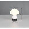 lampa stołowa DOOLEY R54981131 RL | Sklep z lampami lampa stołowa DOOLEY R54981131 RL | Sklep z lampami