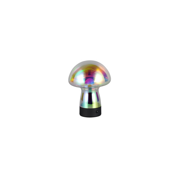 DOOLEY R54981153 DOOLEY R54981153