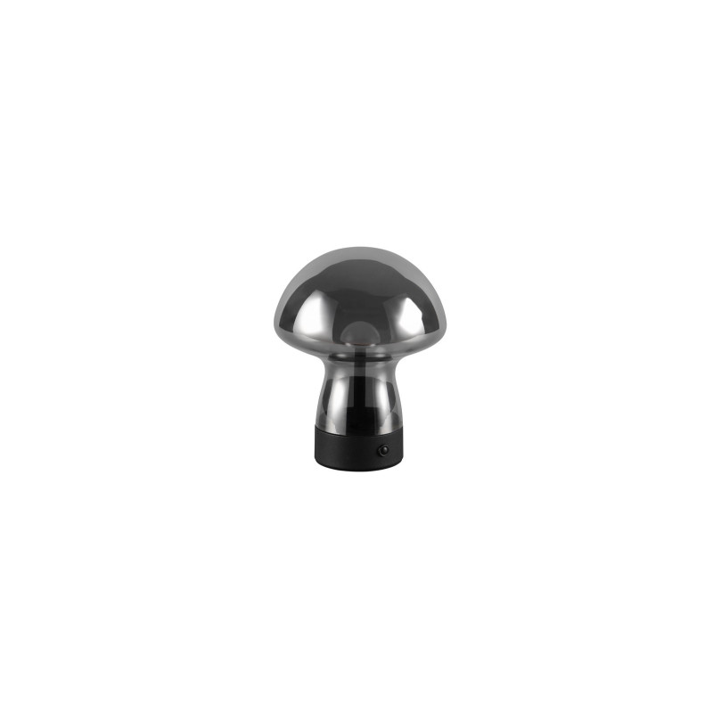 DOOLEY R54981154
