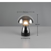 DOOLEY R54981154