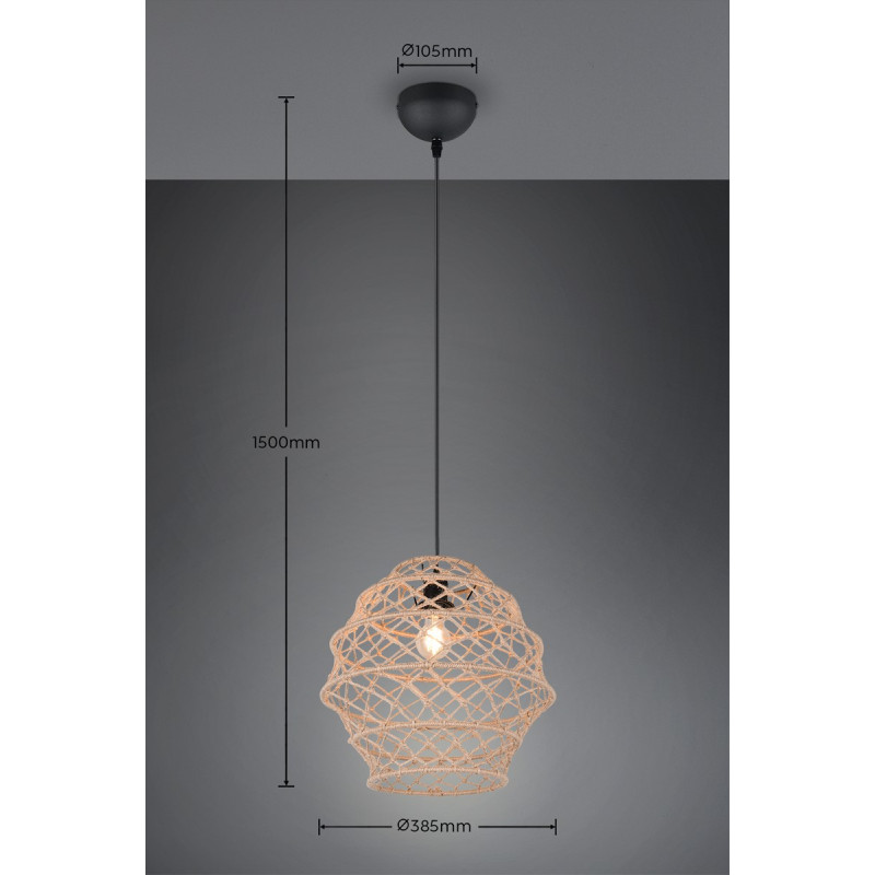 lampa wisząca HIVE R31681936 RL | Sklep z lampami lampa wisząca HIVE R31681936 RL | Sklep z lampami