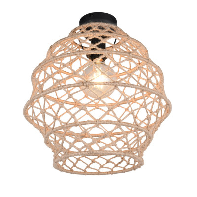HIVE R61681036