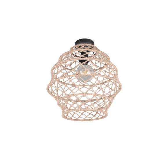 HIVE R61681036