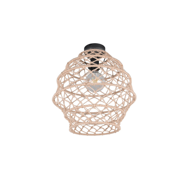 HIVE R61681036