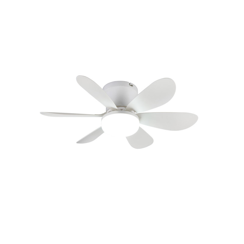 LUND R67462131