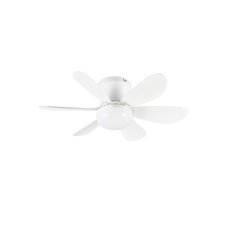 LUND R67462131