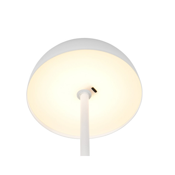 lampa stołowa MUNOZ R54891131 RL | Sklep z lampami lampa stołowa MUNOZ R54891131 RL | Sklep z lampami